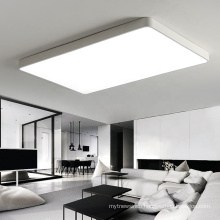 Modern Dimmable Surface Mounted Acrylic Led Ceiling Panel Lights For Living Room